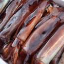 주문진산오징어 이미지