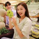 착한과일 이미지