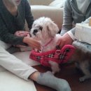 조이병원 이미지