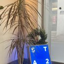 용두카페 | 용두역 감성 카페 커피가 맛있는 스테이