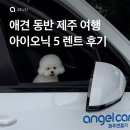 딸기네 | 강아지랑 제주도 여행 후기 | 제주도 강아지동반도 편했던 제주엔젤카, 제주도 렌트카 추가금까지 확인!