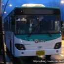 신미주(아) 이미지