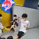 용인대 대동 태권도 이미지