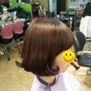 고고헤어gogoHair Daum카페