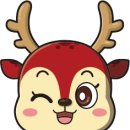 대호태권도 이미지