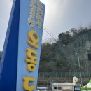 오동도 | 여수여행 ㅣ동백꽃이 이쁜 오동도 도보로 다녀온 후기