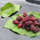 코오디 - 창원시 마산회원구 산호천동길 90 | 코오디