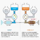 SK KH에너지 에이원주유소 | [롯데정밀화학] 지입차, 트럭, 추레라, 디젤 승용차에 요소수 보충 시기 확인하고 주유소 방문하기.