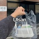 내돈내산 울산 도시락케이크 재빵 가격, 당일 주문 가능, 일찍 오픈하는 곳!