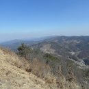 고석농장 Daum카페