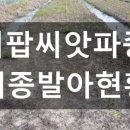 안평농장 이미지