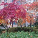 수완둥지공인중개사사무소 | 연말 선물 받았습니다ㅡ554ㅡ3456 우리공인중개사 중리ㆍ평리 서대구 역세권 전문입니다