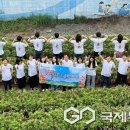 대소원면 행정복지센터 이미지