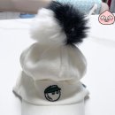 퍼스트독 | 애견용품점 퍼스트 독 내돈내산 후기 + 텐동맛집 쇼쿠지 후기.