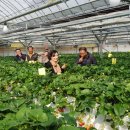 권오선농장 이미지