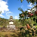 영천 정각리 삼층석탑 이미지