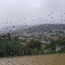 수령농장 이미지