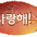 가을 향기 물씬 풍기는 낙엽 편지 한 통 띄웁니다... 이미지