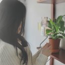 모이모이 이미지