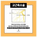 큐비스의원 이미지