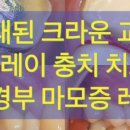 부마치과 이미지