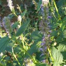 통큰노래연습장 이미지