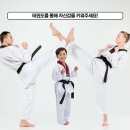 한누리고려대중태권도장 이미지