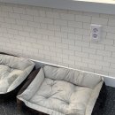 댕그니엘 이미지