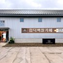 도시공간 | 당진 합덕백쌀카페 도시재생사업 문화공간 후기