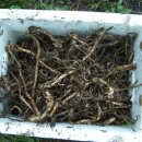 청수농장 이미지