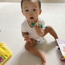 대호세탁 | 돌선물 뭐가 좋을까? 두 아이 엄마 대 강강추 육아템 5가지 추천