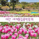코리아파크 | 태안 축제 | 태안 튤립축제 &#39;세계튤립꽃박람회&#39; 코리아플라워파크 방문후기