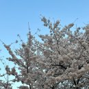 율하근린공원 이미지