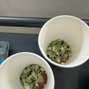 생선쓰 이미지