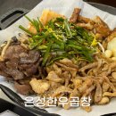 은성축산 | 분당 곱창 맛집 추천 깔끔한 은성한우곱창