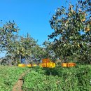 형수농장 이미지