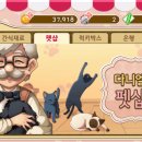 고양이다방 이미지