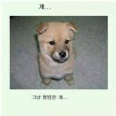 피식 - 여수시 | 피식