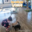 세븐일레븐천안성정하늘점 | [천안 카페] 천안 고양이 카페 아이랑 가볼 만한 곳 냥이마루