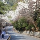 영도구-3 이미지