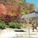 속리산송림팬션