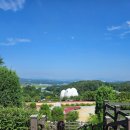 쌀문화전시관 | [이천여행] 이천 수국명소 아기랑 가볼만한 곳, &#34;이천농업테마공원 쌀문화전시관&#34;