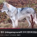 캠프하다 이미지