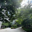 청파초교(병설유치원) 이미지
