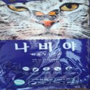 나비야 쇼핑하우