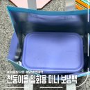 일회용보냉백 추천! 가성비 좋은 천둥이몰 손잡이보냉백 후기