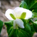 예슬이네 이미지