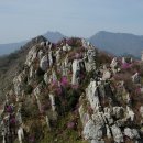 2015년4월4일 해남 덕룡산, 주작산 암릉및 진달래 마중산행 이미지