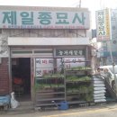 제일종묘사 Daum카페