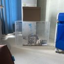 CU메디칼 | 내돈내산+CU메디칼의 반려동물 산소방 렌탈 후기+고양이 호스피스 이야기